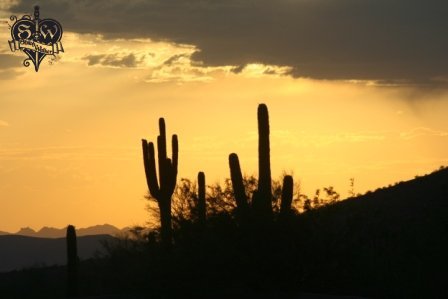 desert sunsets 2011 (4)